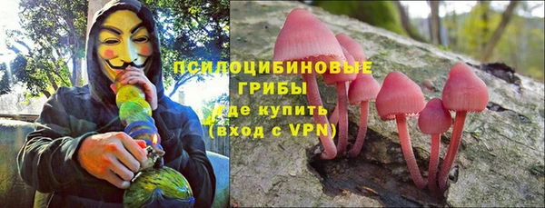 ПСИЛОЦИБИНОВЫЕ ГРИБЫ Нязепетровск