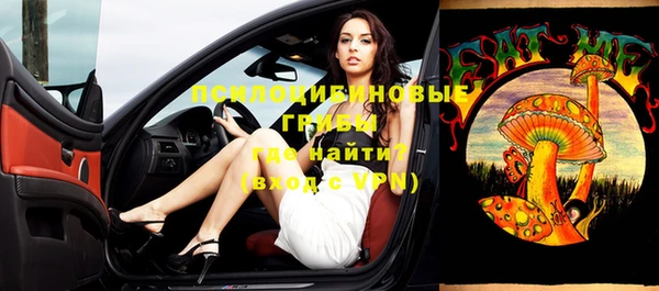 ПСИЛОЦИБИНОВЫЕ ГРИБЫ Нязепетровск