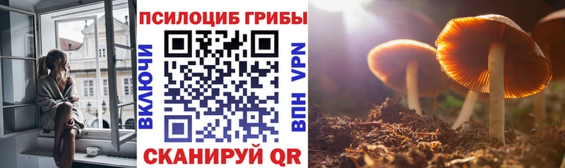Галлюциногенные грибы мицелий  Трубчевск 