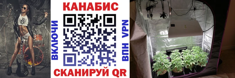 mega рабочий сайт  хочу наркоту  Трубчевск  Бошки марихуана семена 